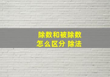 除数和被除数怎么区分 除法